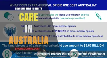The High Cost of Healthcare in Australia