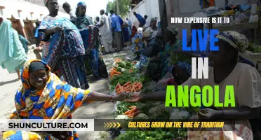 The High Cost of Living in Angola