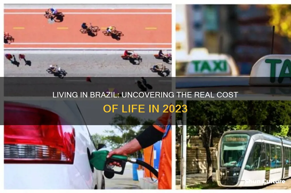 how expensive is it to live in brazil