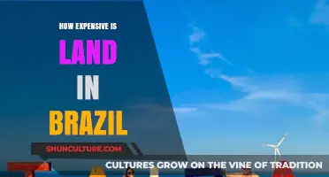 Exploring Brazil's Land Prices: Costs, Trends, and Investment Insights