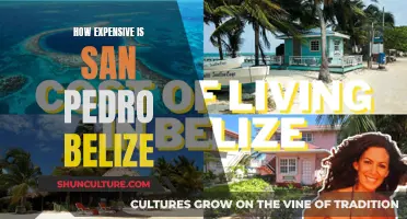 The High Cost of Paradise: San Pedro, Belize's Pricey Paradise