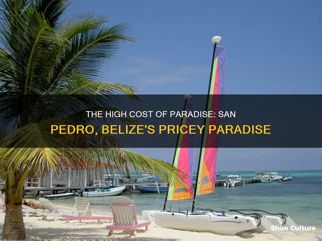 how expensive is san pedro belize