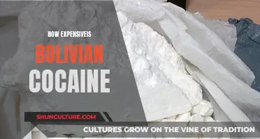 Cocaine in Bolivia: A Costly Affair?