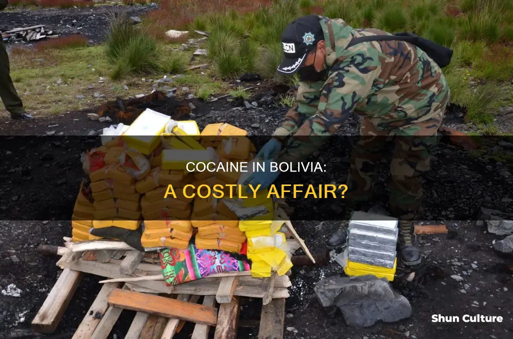 how expensiveis bolivian cocaine