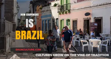 Exploring Brazil’s Cost of Living: Is It Truly Expensive?