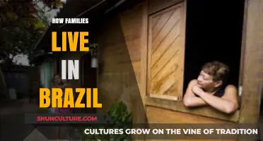 Exploring Brazilian Family Life: Traditions, Dynamics, and Modern Living