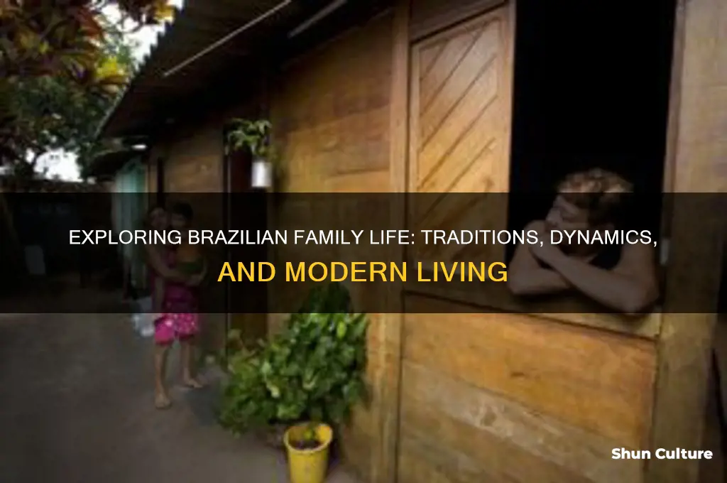 how families live in brazil