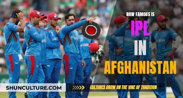 The IPL's Massive Appeal in Afghanistan: A Cricket-Crazy Nation's Favorite Pastime