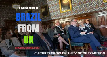 Brazil vs. UK: Economic, Cultural, and Developmental Lead Explored