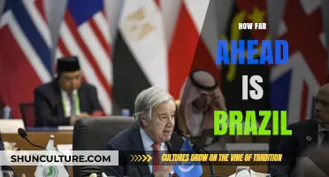 Brazil's Global Lead: Assessing Its Economic and Cultural Advancements