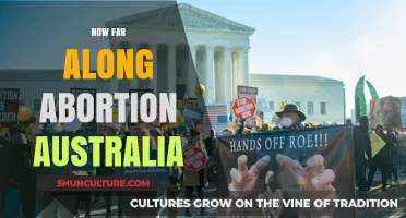 Abortion Access in Australia: How Far Along Are We?