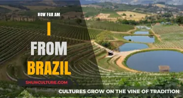 Discover Your Distance: How Far Are You From Brazil?