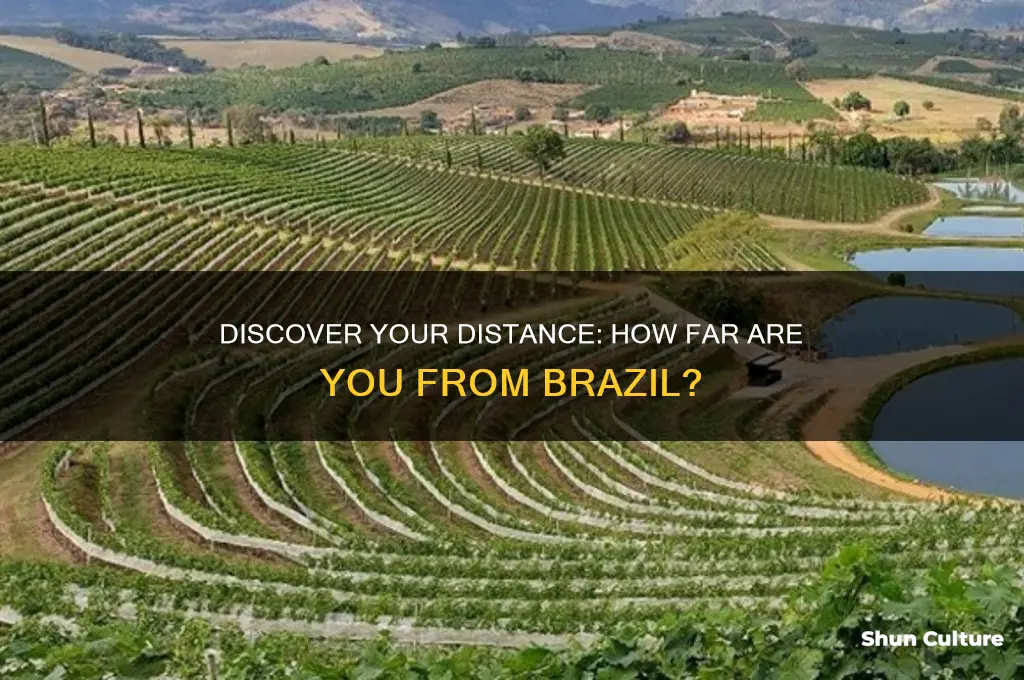 how far am I from brazil