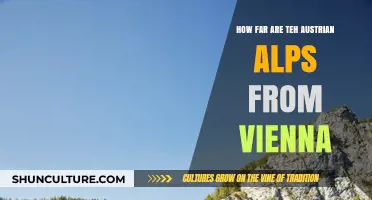 Exploring the Distance: Austrian Alps and Vienna