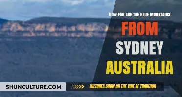 Exploring Sydney's Backyard: Blue Mountains Distance and Travel Tips