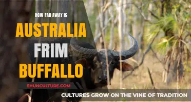 Exploring the Distance: Australia and Buffalo