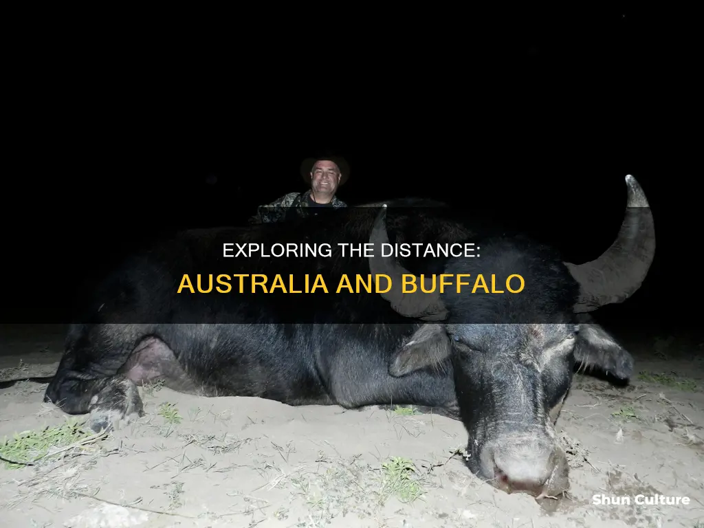 how far away is australia frim buffallo