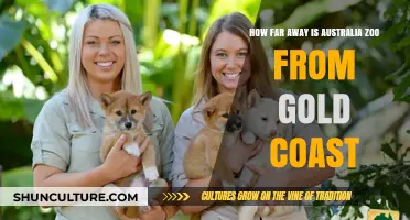 Exploring Australia Zoo: Gold Coast's Wildlife Adventure
