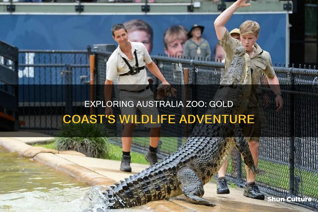 how far away is australia zoo from gold coast