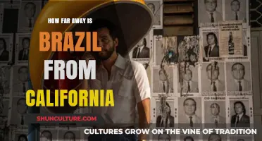 Exploring the Distance: Brazil to California Travel Time & Miles
