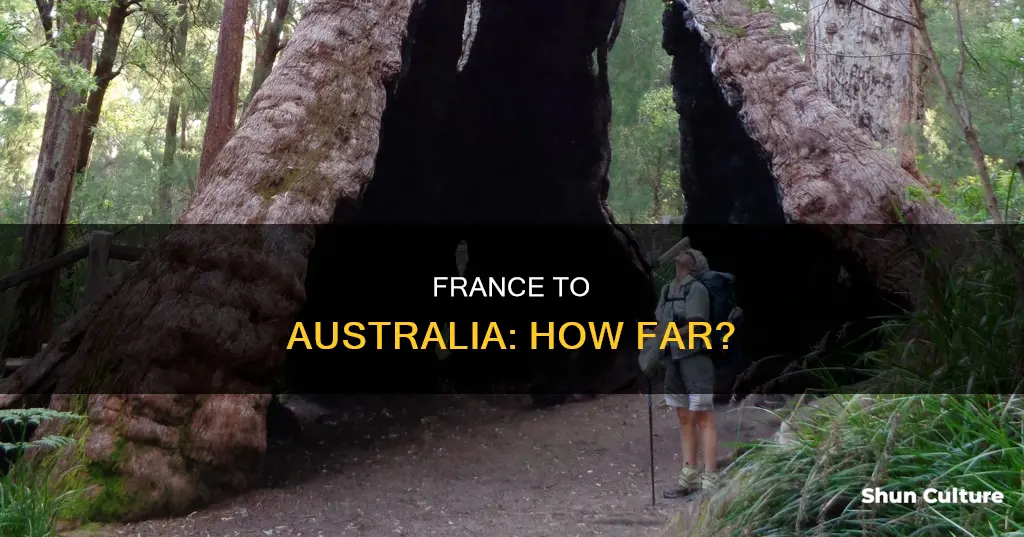 how far away is france from australia