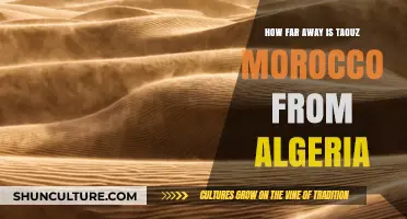 Taouz, Morocco to Algeria: Distance and Travel Insights Revealed