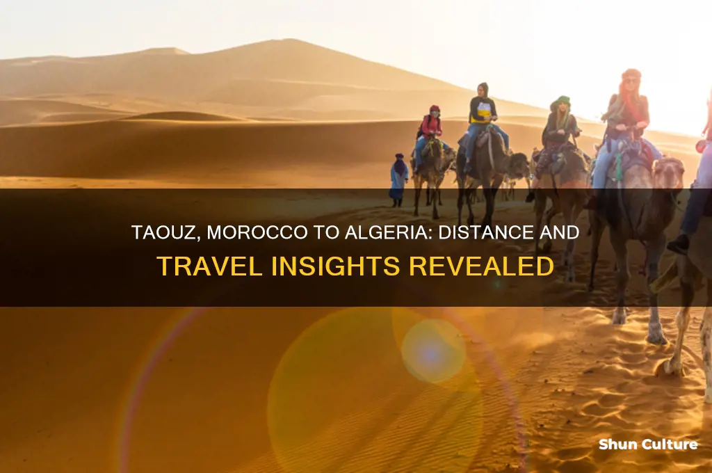 how far away is taouz morocco from algeria