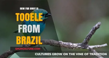 Tooele to Brazil: Unraveling the Distance Between Two Worlds