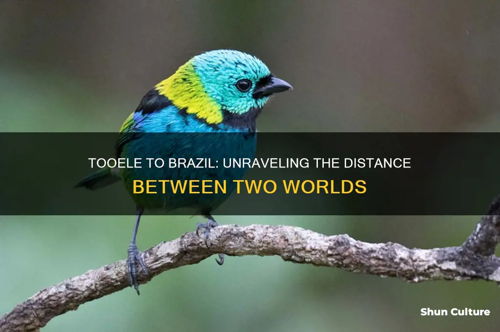how far away is tooele from brazil