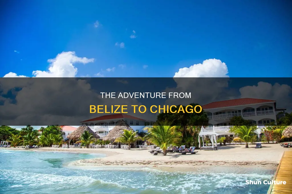 how far belize to chicago