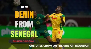 Exploring West Africa: The Journey from Benin to Senegal