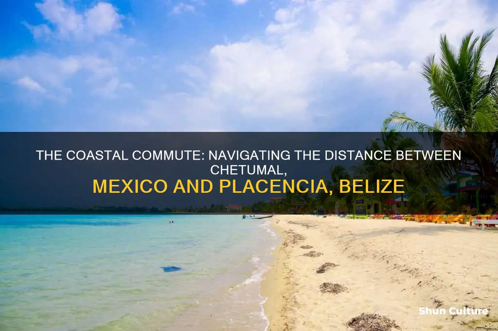 how far chetumal mexico to placencia belize