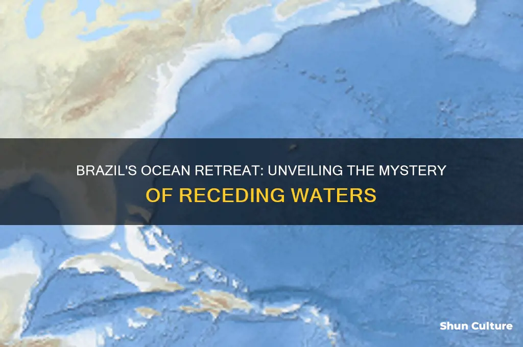 how far did brazils ocean reced