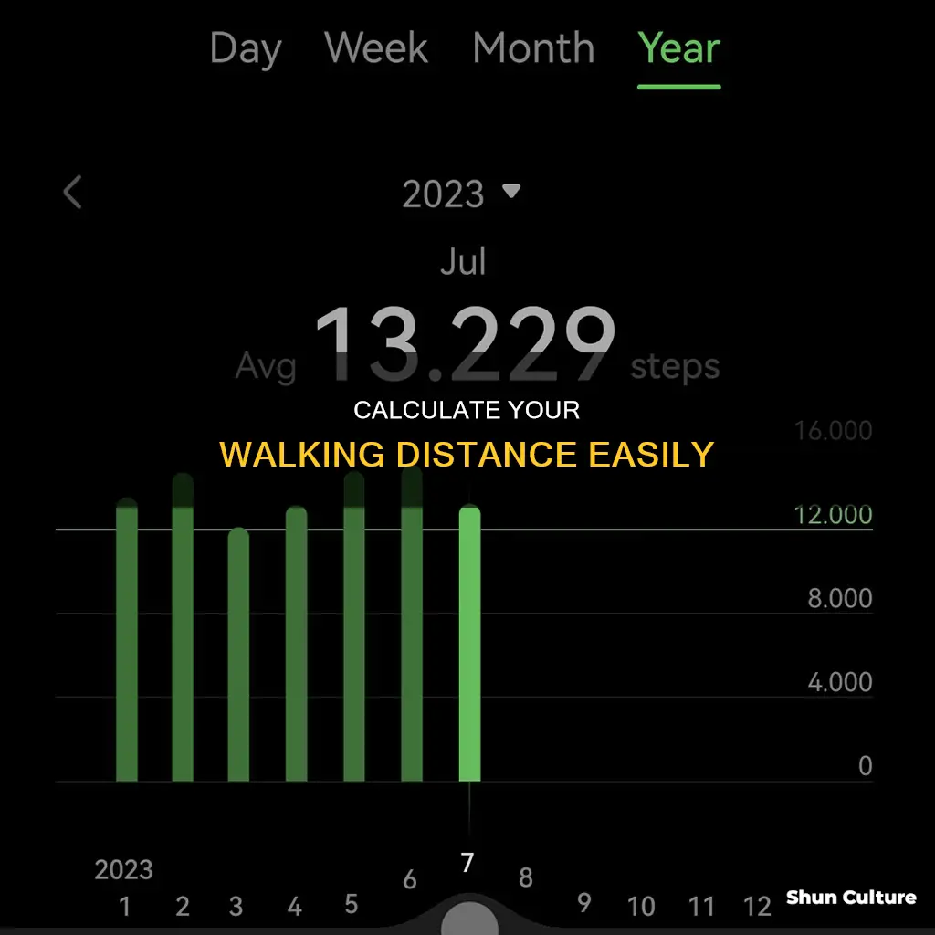 how far did I walk calculator australia