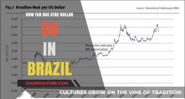Exploring Brazil's Economy: How Far Does the Dollar Stretch?