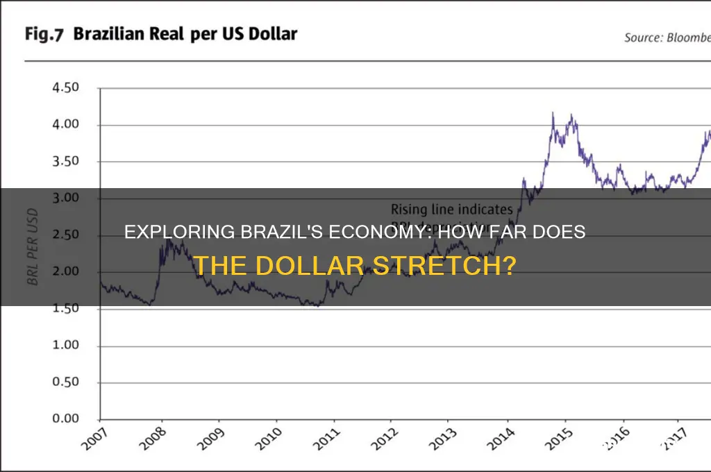 how far doe sthe dollar do in brazil