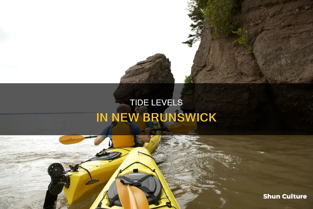 how far does the tide rise in new brunswick