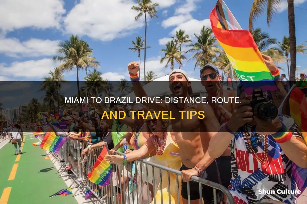how far drive is brazil from miami