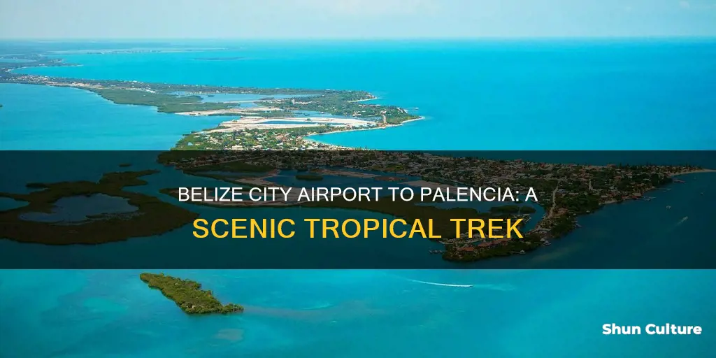 how far from belize city airport to palencia belize