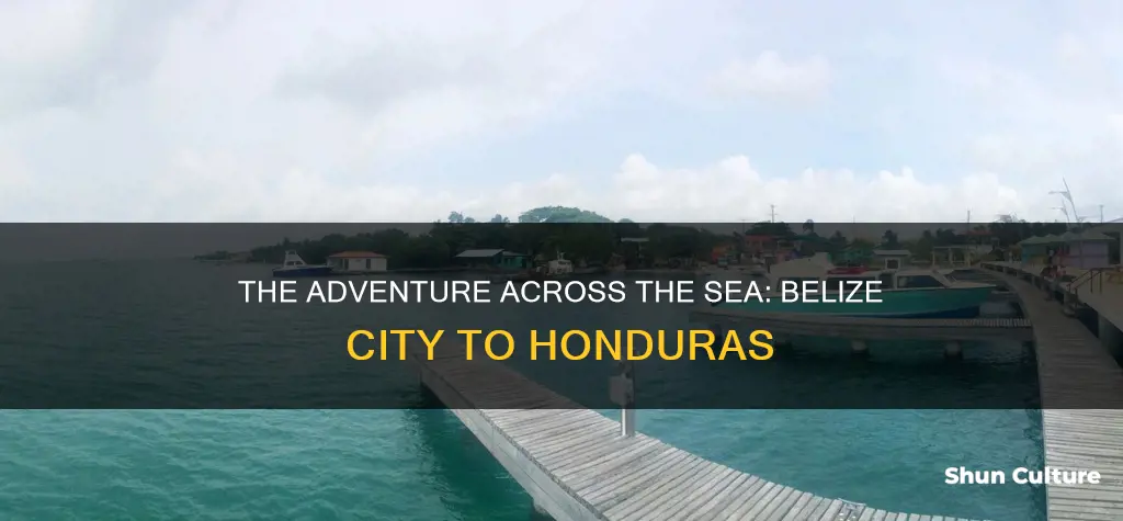 how far from belize city to honduras