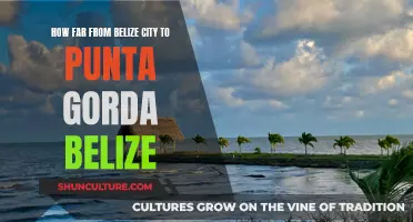 Belize Adventure: Exploring the Distance Between Belize City and Punta Gorda