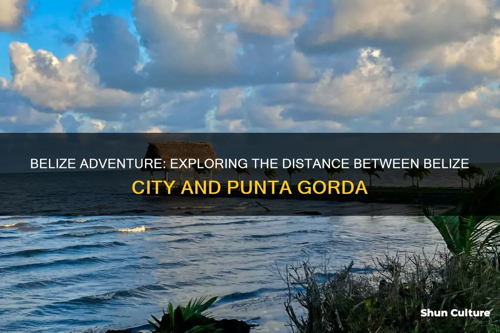 how far from belize city to punta gorda belize