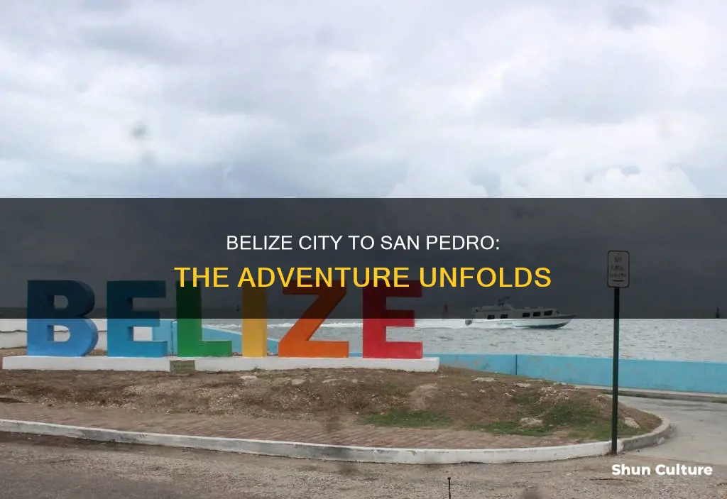 how far from belize city to san pedro