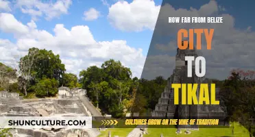 Belize City to Tikal: A Journey Through Time and Distance