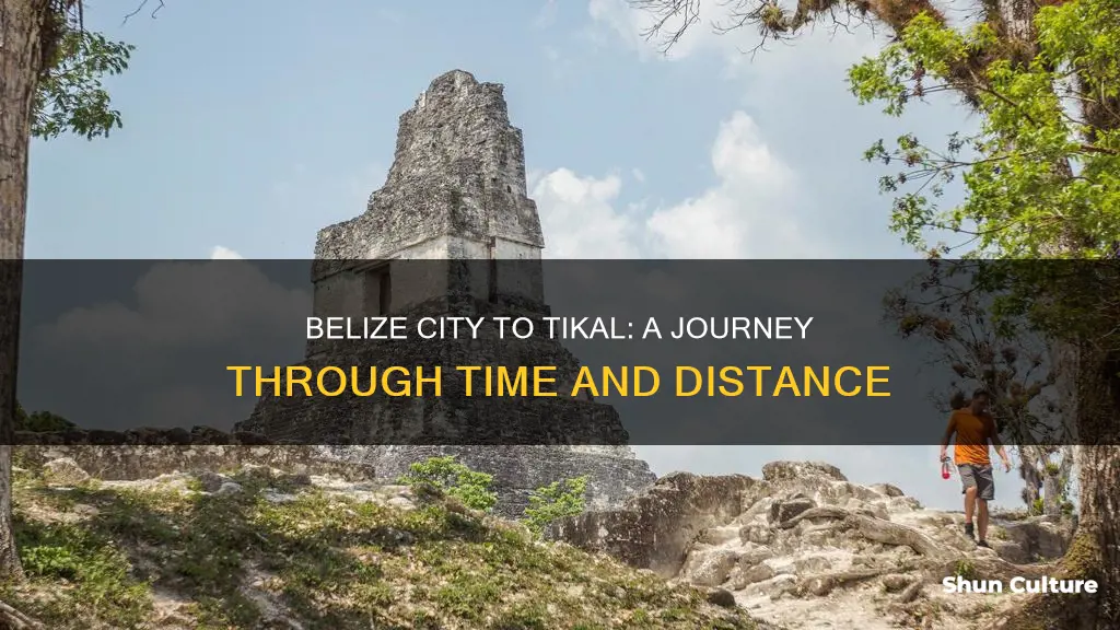 how far from belize city to tikal