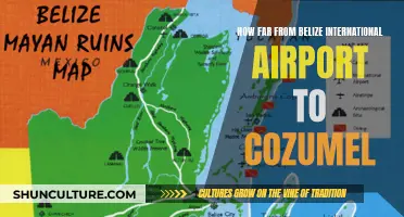 Belize International Airport to Cozumel: A Journey Across Borders