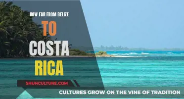 Belize to Costa Rica: A Journey Through Central America's Rich Biodiversity