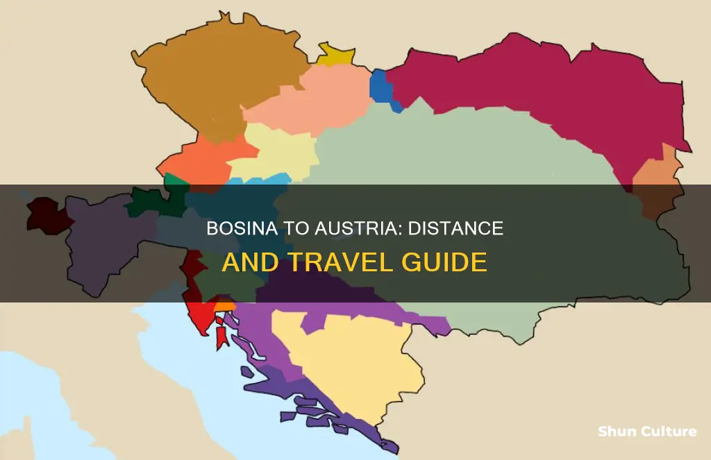 how far from bosina is austria