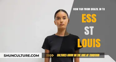 Exploring the Distance: Brazil to East St. Louis Travel Guide