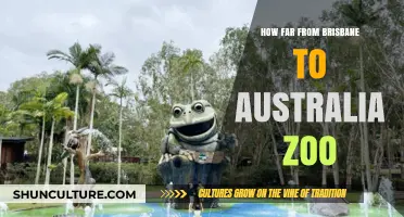 Exploring Brisbane to Australia Zoo: The Ultimate Road Trip